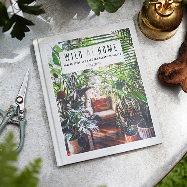 Wild At Home by Hilton Carter - Hard cover